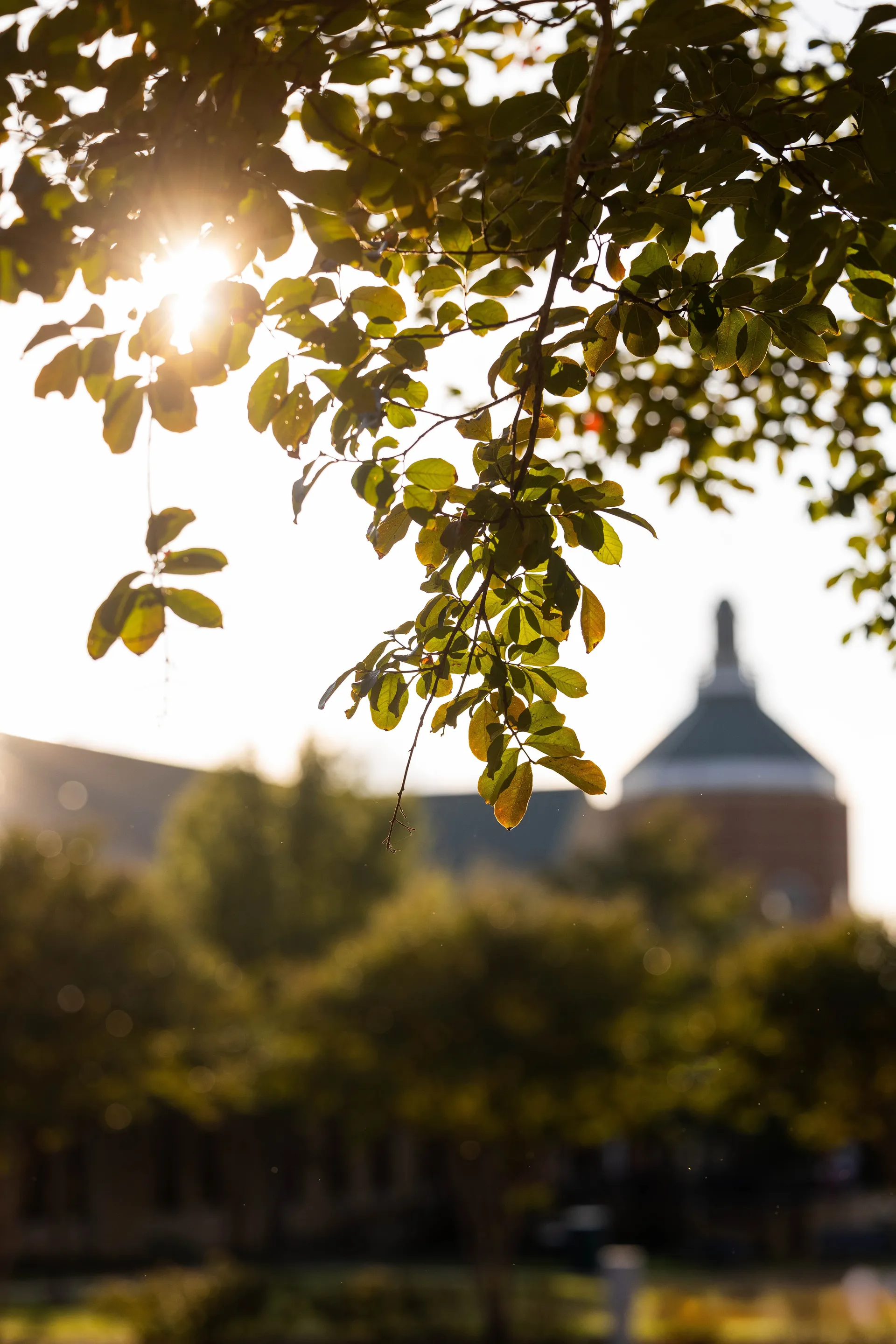 SWAU Campus