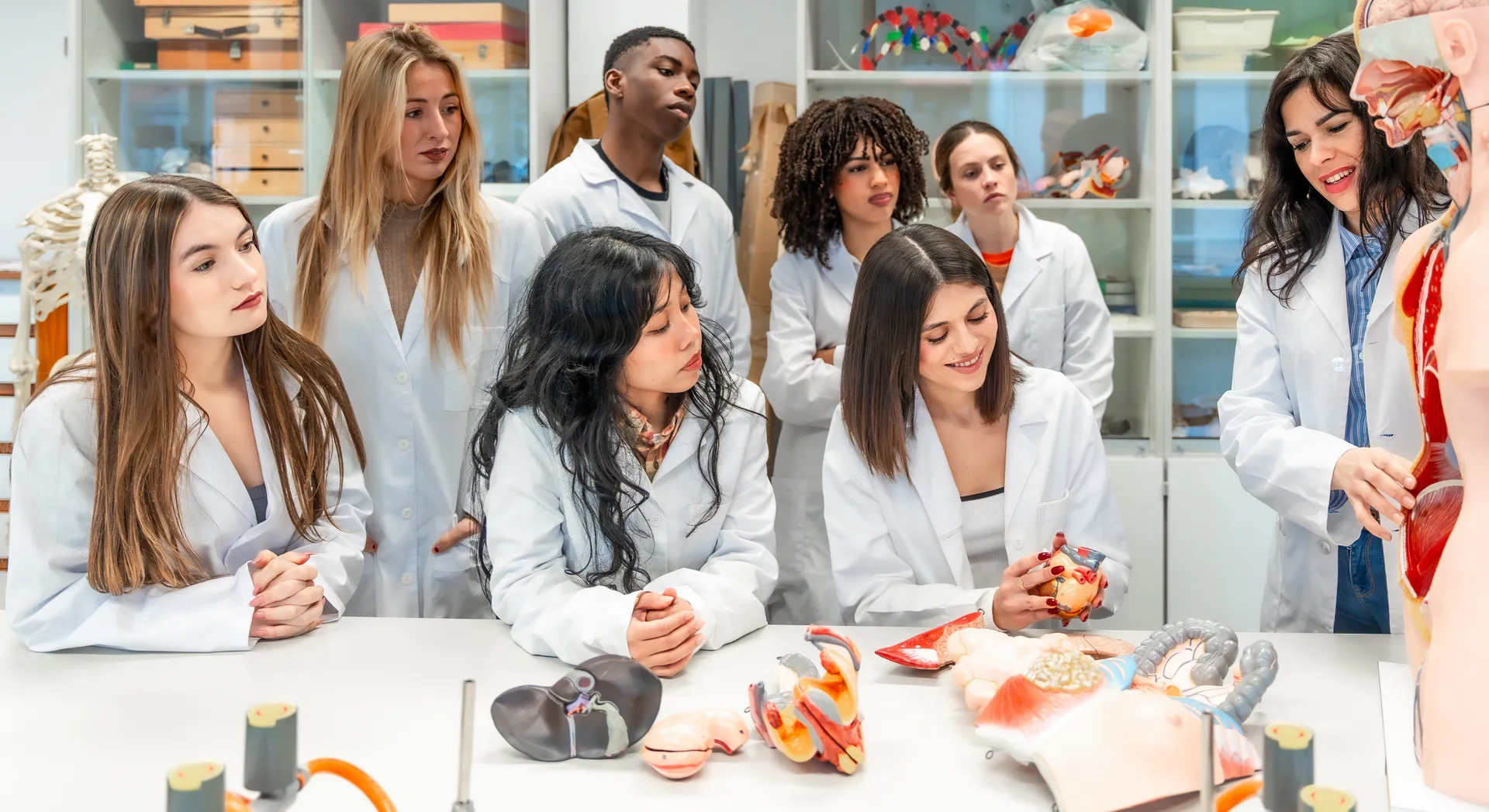 several students in front of an array of plastic anatomy replications watch an instructor's demonstration