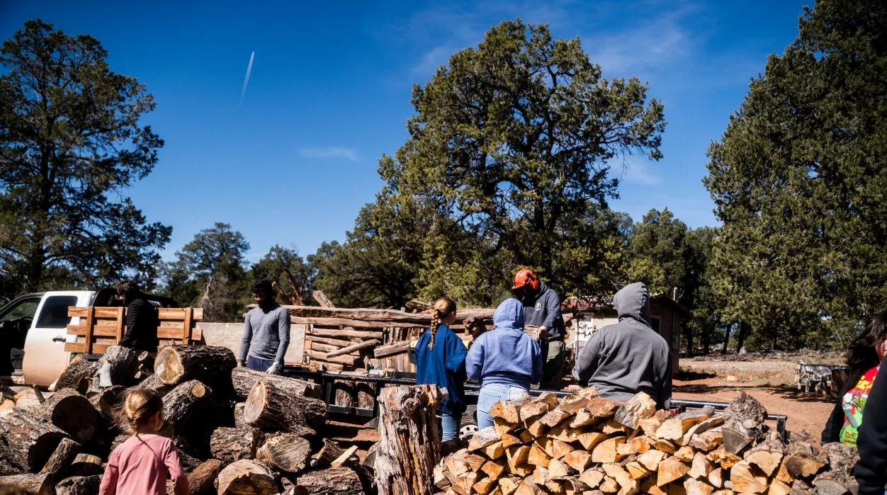 Large collection of wood