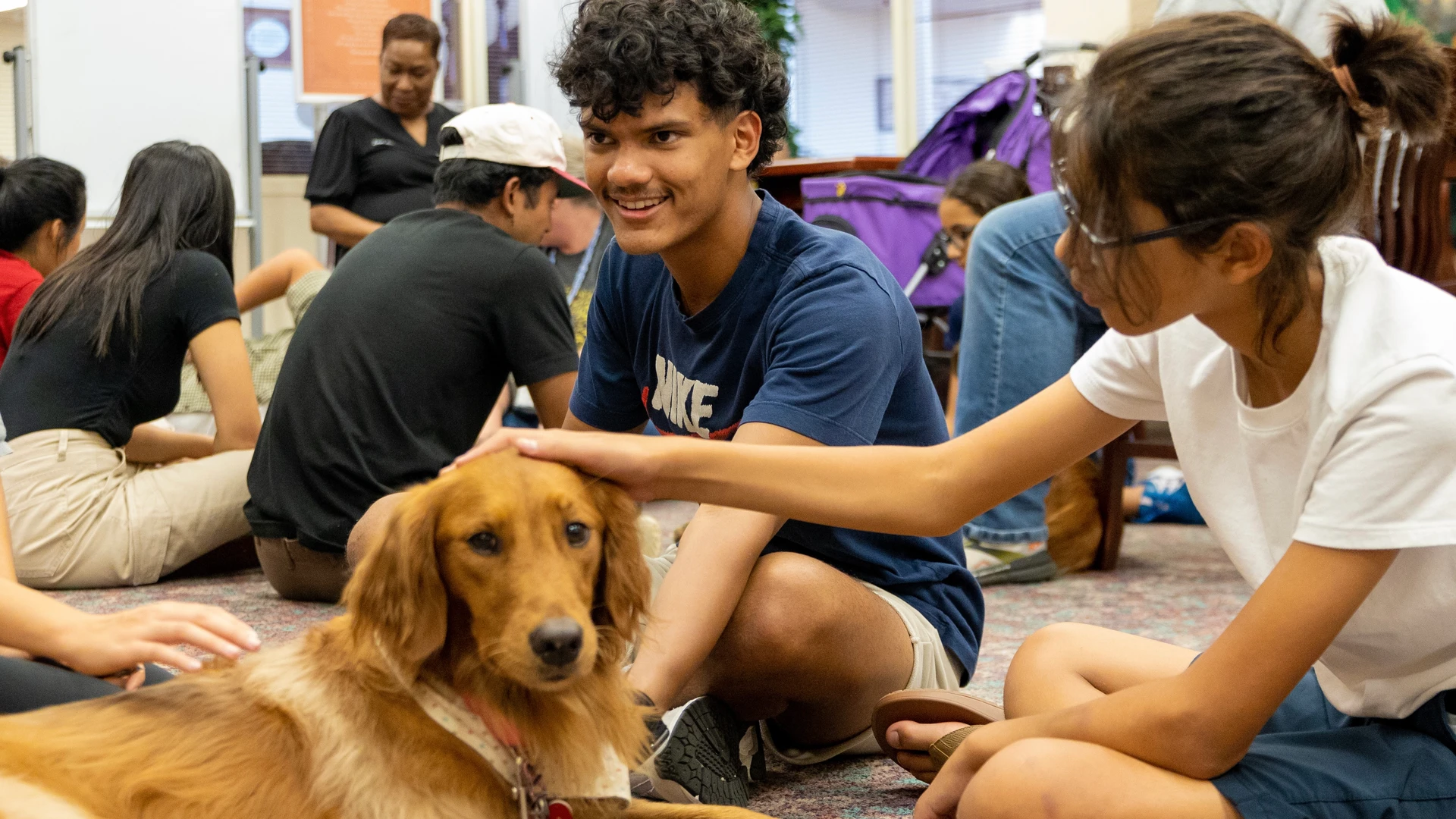 Therapy Dogs at for College Students