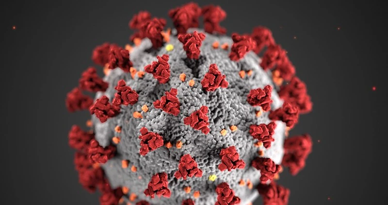 A digital picture of a virus with a gray circle with red spike glycoprotein and orange and yellow hemagglutinin-esterase dimer