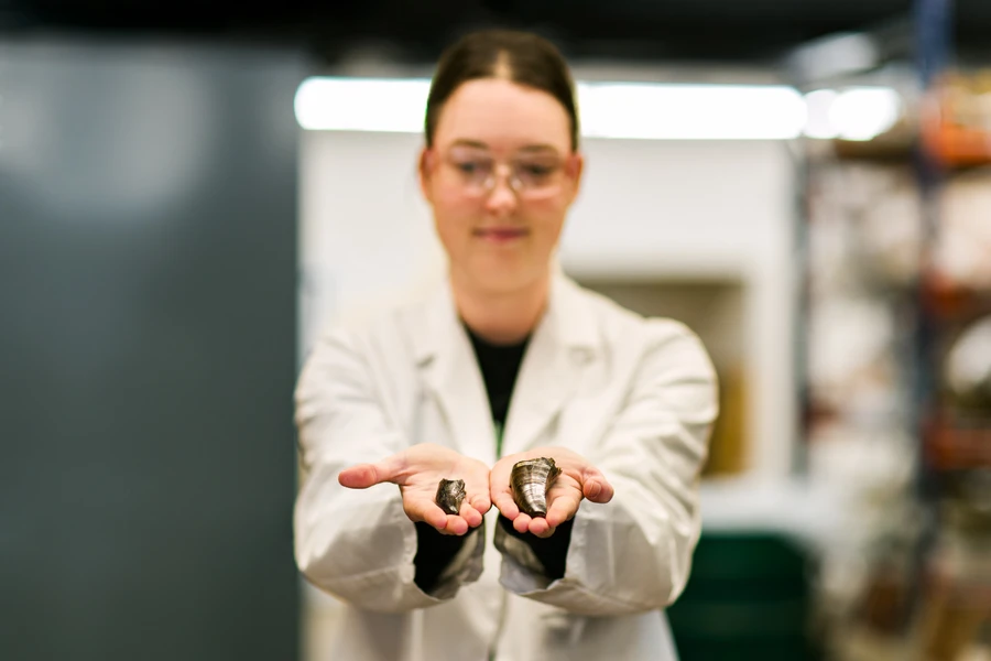 Dino Museum Worker holding two types of teeth