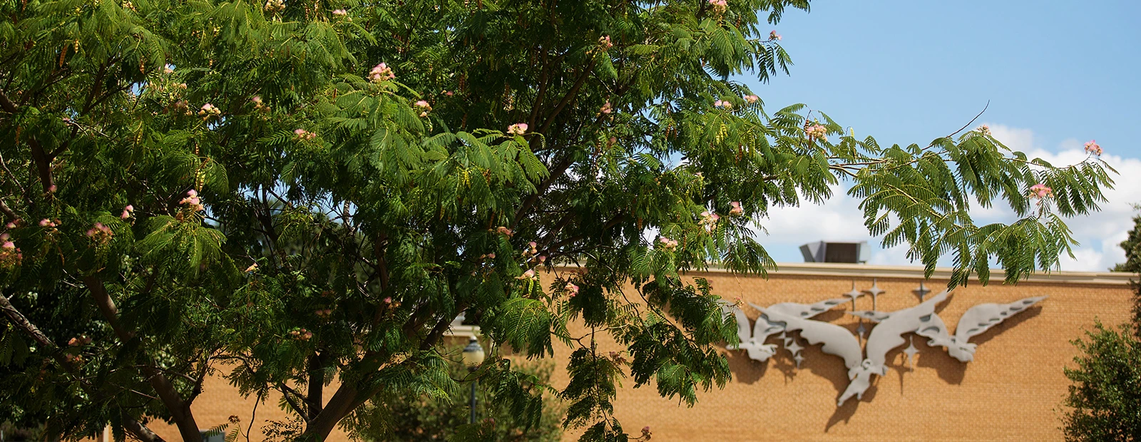 A photo of a tree with green leaves and pink flowers in front of a light tan, bricked building with three silver angels on it.